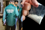 Cocaine worth Rs 2000 crore seized in Delhi NCR, international drug racket busted, 4 arrested