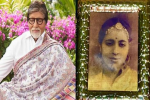 17th Death Anniversary Teji Bachchan : दिवंगत मां तेजी बच्चन की 17वीं 