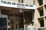 Panchayat elections will be held in Punjab on October 15, High Court d...