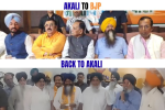 भाजपा को बड़ा झटका, 