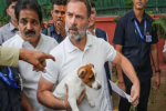 सुप्रीम कोर्ट के फैसले का राहुल गांधी ने किया विरोध,