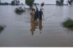 पंजाब में 37 साल के बाद की सबसे बड़ी बाढ़, 