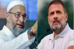 अकेलापन तंग कर रहा होगा, राहुल गांधी से 