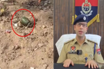 बटाला में मिले ग्रेनेड को लेकर SSP ने किया बड़ा खुलासा, 