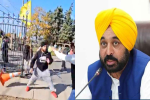 Canada में हिंदू मंदिर पर हुए हमले की CM मान ने की निंदा, 