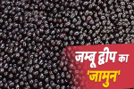 Jamun a Seasonal Fruit : मौसमी फल होने के साथ-साथ औषधीय गुणों