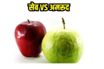 Guava vs Apple Health Benefits : दोनों फल सेहत के लिए सबसे ज्यादा 