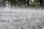 Rain Alert : 