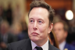 ट्रंप से तकरार Elon Musk को पड़ी भारी, 