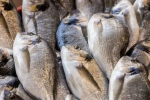 Hilsa Fish Export Ban : हिल्सा मछली के निर्यात पर प्रतिबंध, बांग्लादेश 