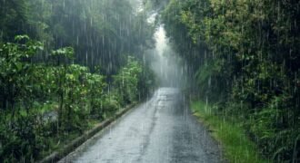 Rain in several districts including Jalandhar and Ludhiana; yellow alert for Chandigarh.