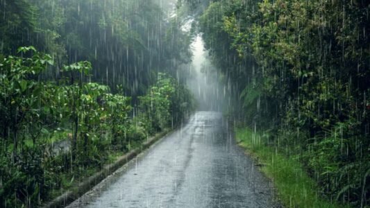 Monsoon intensifies in Punjab and Chandigarh; 'Orange' and 'Yellow' alerts issued for several districts; rain expected over the next 5 days.