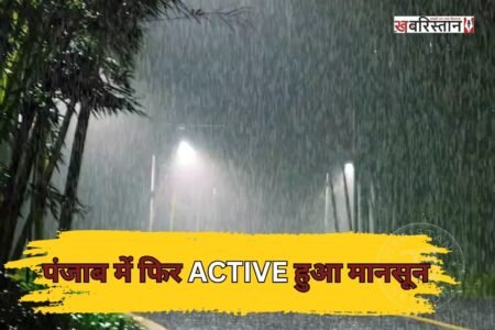 Monsoon becomes active again in Punjab; rain likely for 7 days.