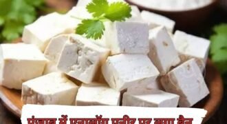 देश के कई हिस्सों में एनालॉग पनीर पर बैन लगा दिया गया है। अब पंजाब में भी एनालॉग पनीर पर बैन लगा दिया गया है। पंजाब सरकार ने पूरे एक साल के लिए इसके उत्पादन, स्टोरेज, ट्रांसपोर्ट और बिक्री पर पूरी तरह से रोक लगा दी है।
