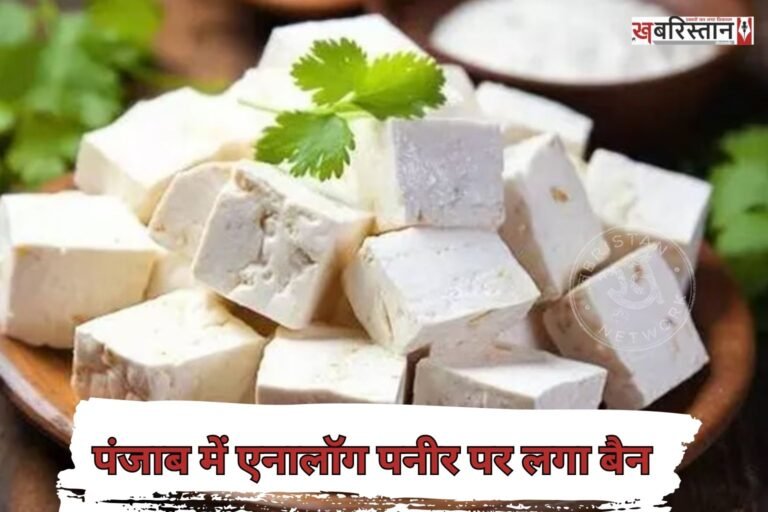 देश के कई हिस्सों में एनालॉग पनीर पर बैन लगा दिया गया है। अब पंजाब में भी एनालॉग पनीर पर बैन लगा दिया गया है। पंजाब सरकार ने पूरे एक साल के लिए इसके उत्पादन, स्टोरेज, ट्रांसपोर्ट और बिक्री पर पूरी तरह से रोक लगा दी है।