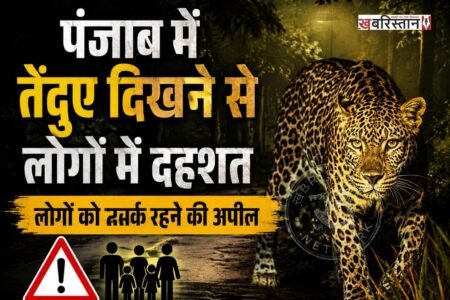 पंजाब के फाजिल्का में तेंदुए देखे जाने के बाद लोगों के बीच में दहशत फैल गई। लोगों को सतर्क रहने के लिए गुरुद्वारों से अनाउंसमेंट करवाई जा रही है। खास तौर पर बच्चों, बुजुर्गों और महिलाओं को अकेले बाहर न जाने की सलाह दी गई है।