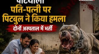 पटियाला में पति-पत्नी को मकान देखना जाना भारी पड़ गया। क्योंकि दंपति पर पिटबुल ने कुत्ते ने हमले कर दिया। इस घटना में दोनों पति-पत्नी बुरी तरह से जख्मी हो गए हैं और उन्हें ईलाज के लिए अस्पताल में भर्ती करवाया गया है। जहां उनके टांके और सर्जरी की गई है। इस घटना की सीसीटीवी फुटेज भी सामने आई है।