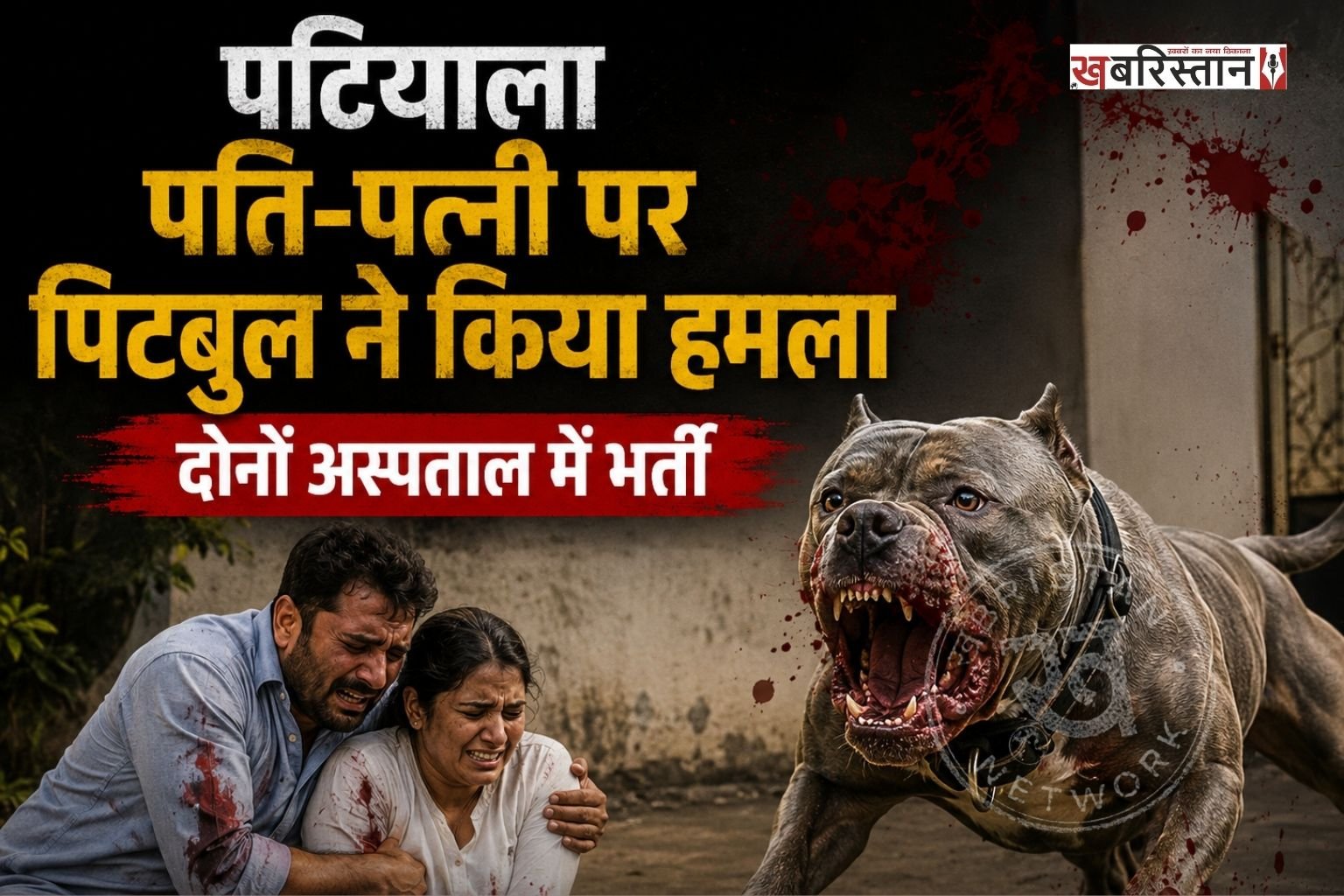 पटियाला में पति-पत्नी को मकान देखना जाना भारी पड़ गया। क्योंकि दंपति पर पिटबुल ने कुत्ते ने हमले कर दिया। इस घटना में दोनों पति-पत्नी बुरी तरह से जख्मी हो गए हैं और उन्हें ईलाज के लिए अस्पताल में भर्ती करवाया गया है। जहां उनके टांके और सर्जरी की गई है। इस घटना की सीसीटीवी फुटेज भी सामने आई है।