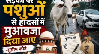 सुप्रीम कोर्ट ने सड़कों पर घूम रहे आवारा पशुओं से होने वाले हादसों पर गंभीर चिंता जताई है। इस मामले को लेकर सुप्रीम कोर्ट ने केंद्र व राज्य सरकारों को हादसे के पीड़ित परिवारों को मुआवजे देने के लिए कहा है। इसके साथ ही यह सुझाव भी दिया कि कानूनों और नियमों में संशोधन किया जाए।