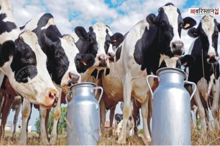Dairy operators in Jalandhar issue ultimatum; warn of halting milk supply from September 11