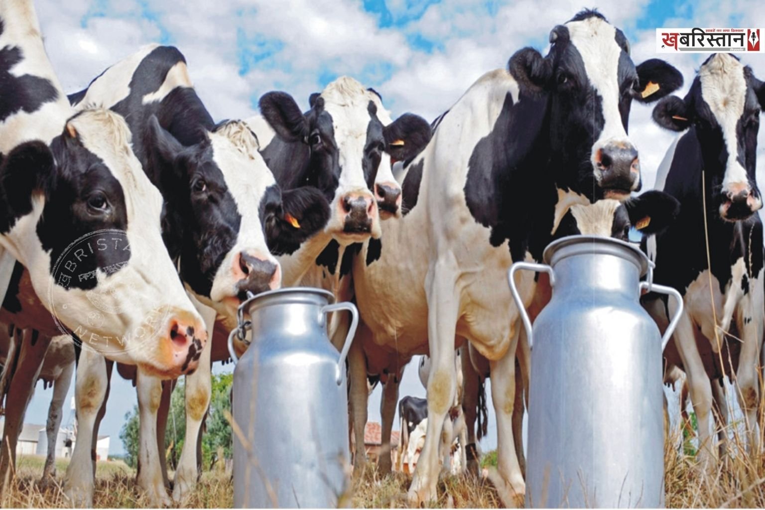 Dairy operators in Jalandhar issue ultimatum; warn of halting milk supply from September 11