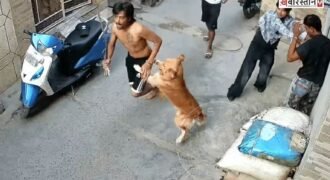 Youth attacked in Jalandhar: Beaten with kicks, punches, and a *kirpan