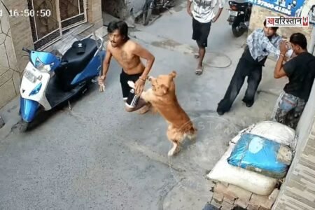 Youth attacked in Jalandhar: Beaten with kicks, punches, and a *kirpan