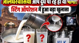 Milk fake
