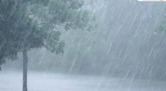 Weather to remain inclement in Punjab for three days; alert issued for storms, rain, and hailstorms.